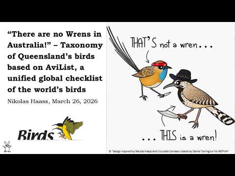 <p>“There are no Wrens in Australia!” – Taxonomy of Queensland’s birds based on AviList, a unified global checklist of the world’s birds.</p>
 video thumbnail