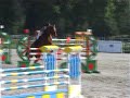 Gekas � Jardy