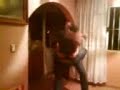 bailando banda tuly - pecas bailando banda tuly - pecas