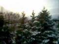 clip video D'Allan Rice The Wind Of Love