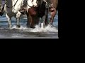 Bar lazy J Colorado Dude Ranch Breakfast Ride