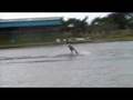 videos de rhys wake