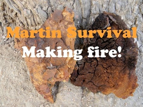 how to kill bracket fungus
