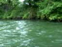 Pescuit la musca in Slovacia - Fly Fishing in Slovakia