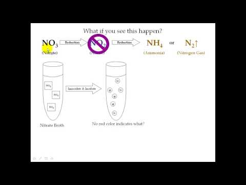 how to nitrate test