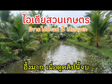 ไอเดียสวนเกษตร มีรายได้ตั้งแต่ 3 เดือนแรก