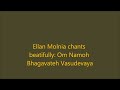 ellen molnia chants beatifully om namoh bhagavate vasudevaya