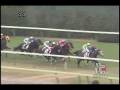 videos de [レースリプレイ] 081115 3福島7 07R