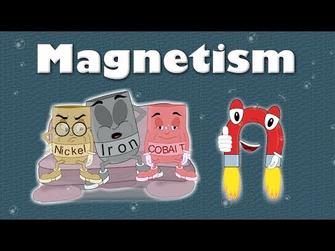 Magnetism for Kids