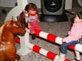 Breyer Horse Falls 1