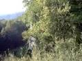submitted by alleghanywebmaster on Sat Dec 27 2008 at 09:45am