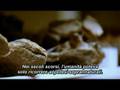 L'illusione di Dio - The God Delusion (2006) [2/5]