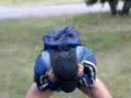 Comedie-cu-Miky-cel-