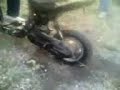 maiolo-lo scooter impazzito