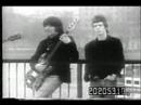 Please Stay - Cryin Shames 1966