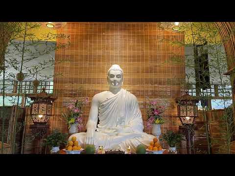 Tinh Hoa NIKAYA - Tâm Hiền Trí Ngọt Ngào Cao Đẹp