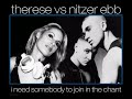 Therese vs Nitzer Ebb - I Need Somebody To Join In The Chant