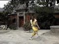 Shaolin Luohan quan