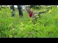 Oskar the Blind Cat - Mother Nature Reunion (Featuring Klaus)