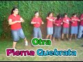 CVM Dinámicas \"PATO ITALIANO\" CVM Dinámicas \"PATO ITALIANO\"