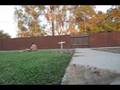 videos de Jameson Flip