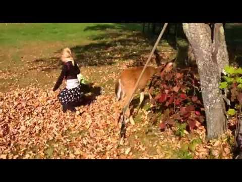 Duas crianças e um bambi