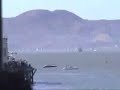 Blue Angels High Speed Low Pass