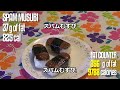 Click here to watch this video キングス•オブ•カウカウ: エピック・カウカウ・タイム