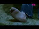 Chemical Brothers - The Salmon dance