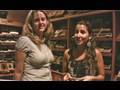 Cigars for beginners