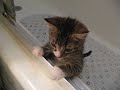 Bathtub