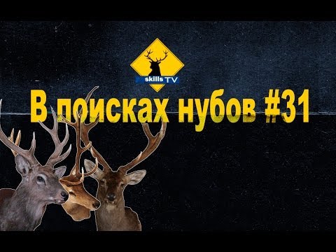 В поисках нубов #31