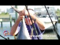 OC Fishing Center - 'The Daily Catch #2 - 2012'