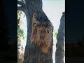 Identifying Hazardous Trees.wmv