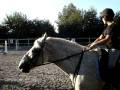 videos de Peppi Springen (2)