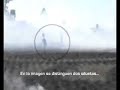 Extraterrestres - alboraya