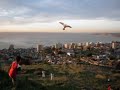 Palmenia Pizarro - La Joya del Pac�fico