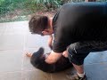 Ataque de c�o ao dono Parte II