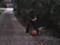 Blowing up a pumpkin with mortor