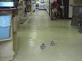 Self Walking Shoes