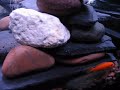 we did away with the plants and added more rock, slate and limestone.  also just added a red zebra fish to the group.  they are steadily growing.