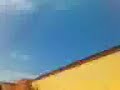 RIKARDO FIGHT