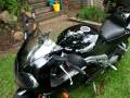 videos de Daytona Magic