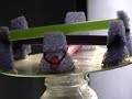 Gravity_toy_4 Gravity_toy_4