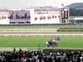 2007秋華賞(東京競馬場ターフビジョン)
