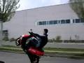 videos de Rikitaun Caballito