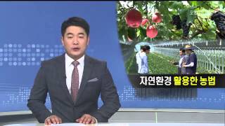 뉴스데스크