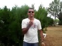 Video electromind 