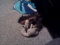 Caught in the act