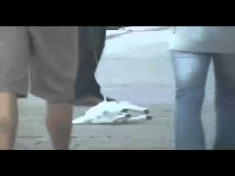Imagen de previsualización de YouTube